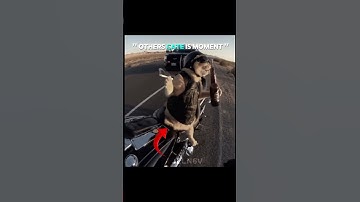 CAT IS MOMENT 💀 #shorts #trollface #edit