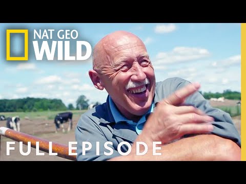 Incredible Dr. Pol: A 200th Polapalooza (Full Episode) | The Incredible Dr. Pol