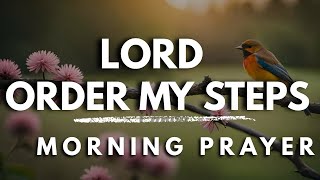 Let God Order Your Steps Today | Morning Prayer