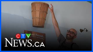 Canadian Basketball Hall of Fame comes to N.B. town