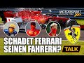 Vettel & Co: Wie sehr schadet Ferrari seinen Fahrern?