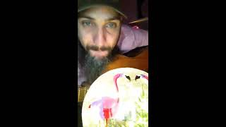 Jus Blackbird - Tuyo (Rodrigo Amarante Cover)