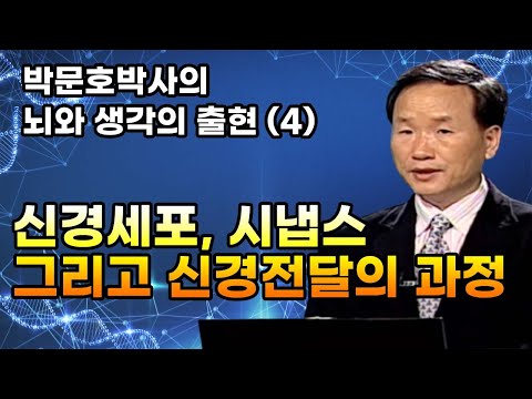 신경세포, 시냅스, 그리고 신경전달의 과정 [박문호 박사의 뇌와 생각의 출현 4회]