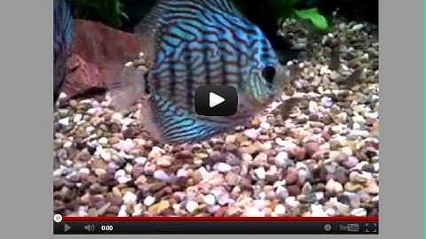 Jquery Slider using Animate