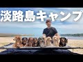 【犬7頭と暮らすおっさん】犬を11頭連れてキャンプ。大雨の海辺でキャンプは成功するのか…!?【犬連れキャンプ】