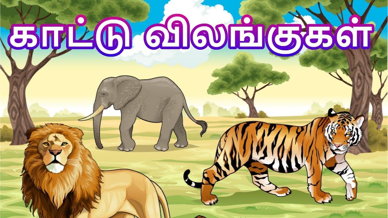        Learn Wild Animals Name in Tamil for Kids  children