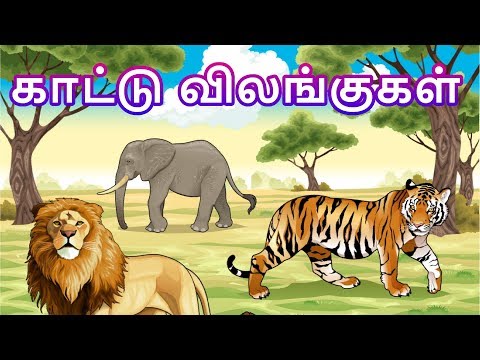 காட்டு விலங்குகள் -  தமிழரசி  Learn Wild Animals Name in Tamil for Kids & children