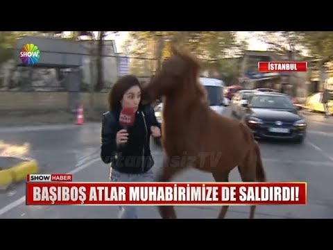 Atın İntikamı