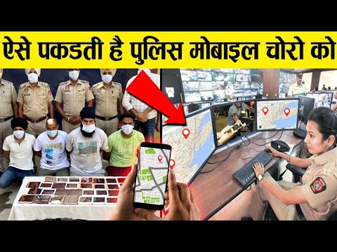 वीडियो: क्या आपका पिल्ला एक काउंटर सर्फर या कचरा चोर है? यहां आप क्या कर सकते हैं