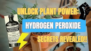 Eliminating Pests and Fungus Gnats with Hydrogen Peroxide - Keeping Your Plants Healthy