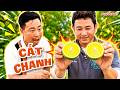Thử Thách Cắt Chanh Không Đứt Hột | Phước Lầy