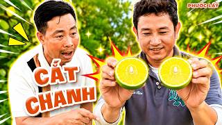 Thử thách cắt chanh không đứt hột #phuoclay