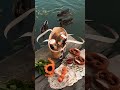 May recap 💐#vlog #fyp #mayrecap #capcutedit #travel #foryoupage #shortvideo