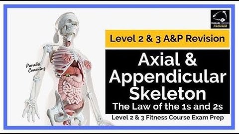 The Axial  and Appendicular Skeleton - The Law of the 1s and 2s