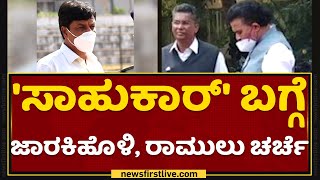 Satish Jarkiholi, Sriramulu ನಡುವೆ ನಡೆದ ಚರ್ಚೆ ಏನು ? | Ramesh Jarkiholi | NewsFirst Kannada