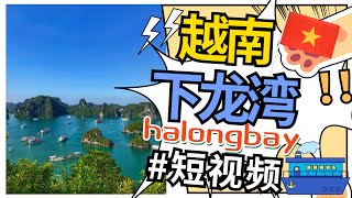 你错过就后悔啦！用1分钟内带你来了解越南下龙湾之旅 Vietnam Halong Bay Cruise #shorts