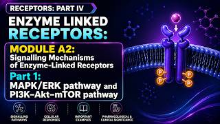#31 RECEPTORS – PART IV | MODULE A2: Signalling Mechanisms of Enzyme-Linked Receptors | Part 1