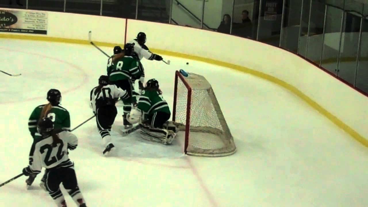 Nichols College women's ice hockey vs Endicott 103115 YouTube
