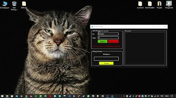 QT C++  TCP/IP Client