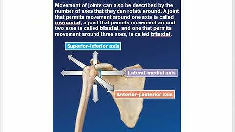 Bio233 A&P 1 Lecture  Chapter 9 Joints Part 2 2023