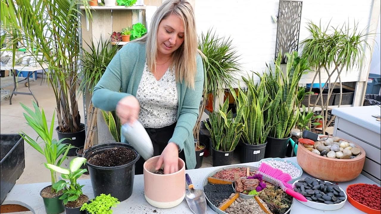 Aloe Vera - Dutch Growers Saskatoon