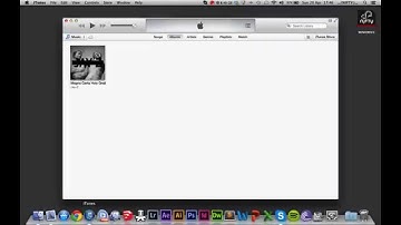 The Nifty MiniDrive - How to move your iTunes Media library to an External Disk