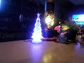 初恋のひと   小川知子さん