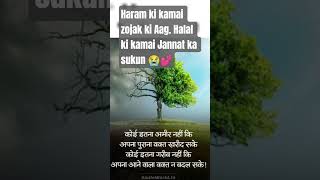 haram ki kamai zojak ki Aag 😭 halal ki kamai jaant ka sukun 😂