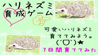 「ハリネズミ」育成ゲームやってみた☆ screenshot 5