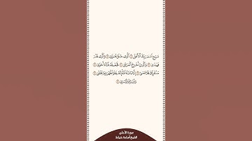 تلاوة في ٣٠ ثانية سورة الأعلى الآيات من ١ إلى ٨ الشيخ أسامة خياط