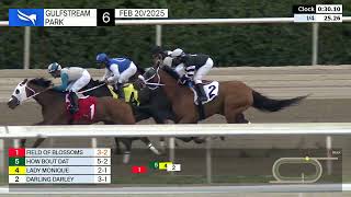 Vidéo de la course PMU CLAIMING