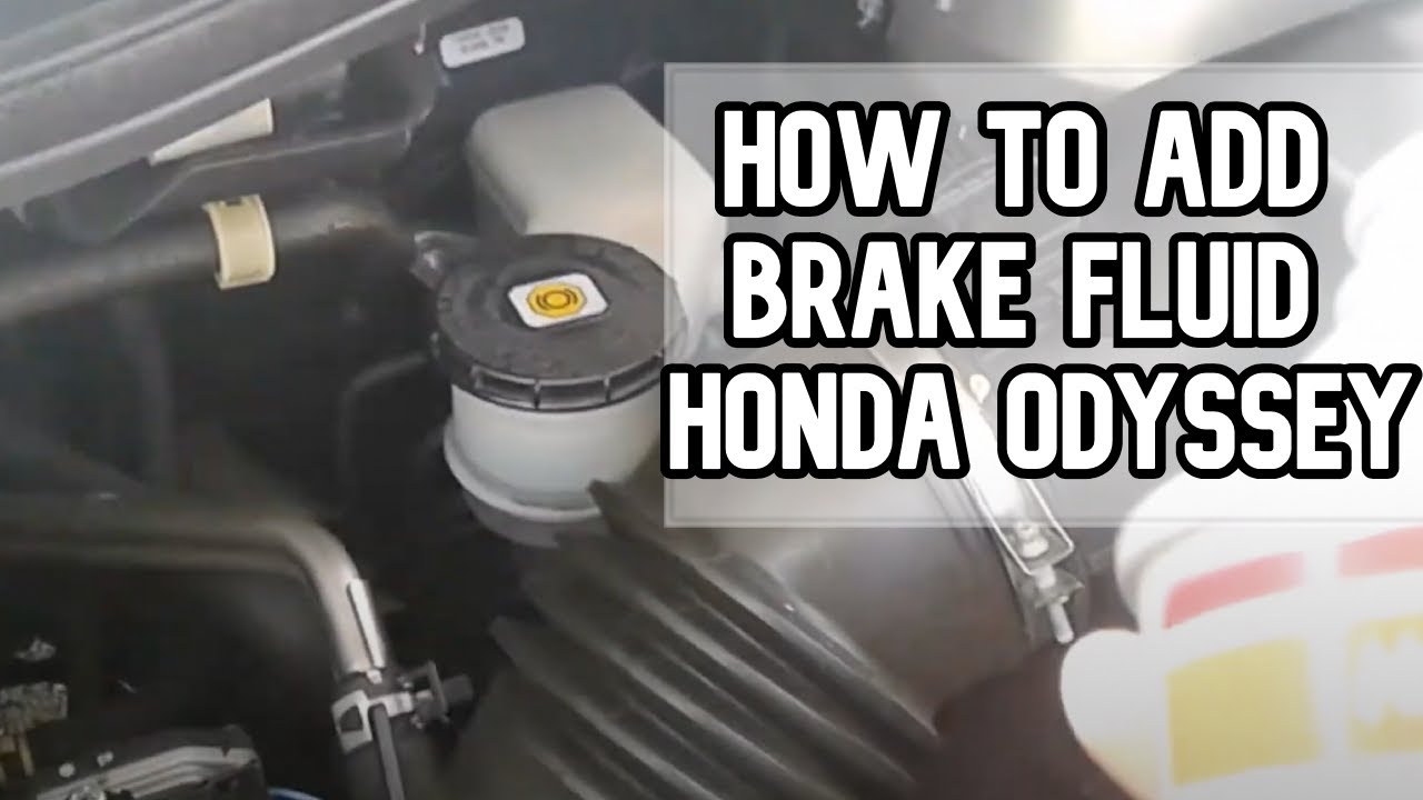 honda odyssey brake fluid change cost - laverna-kollmeyer