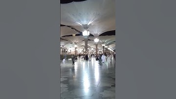 آيات بينات من الذكر الحكيم بتلاوة القارئ #ياسر_الدوسري #قران_كريم #قرآن #اكسبلور
