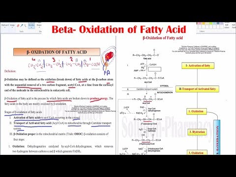 Beta Oxidation of Fatty Acid (Detail explanation with Easy Trick to Remember) GPAT- Pharmacist Exam