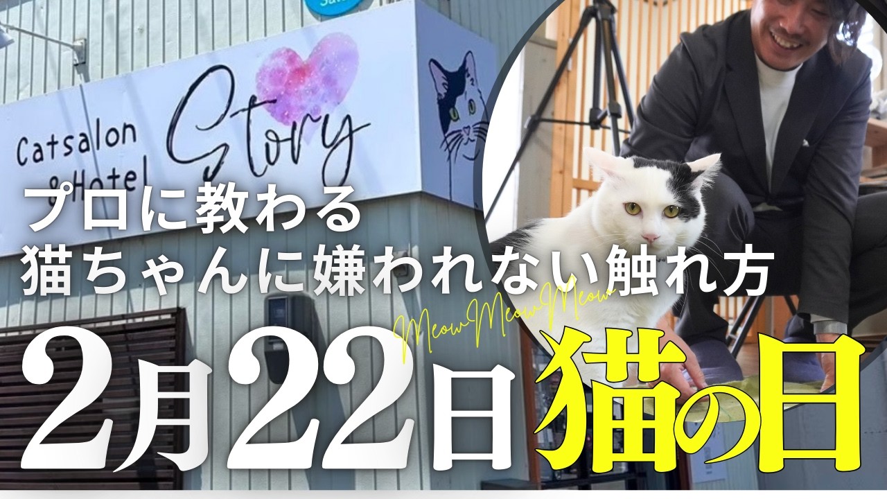 【２月２２日猫の日】プロに教わる猫ちゃんに嫌われない触れ方【徳島】