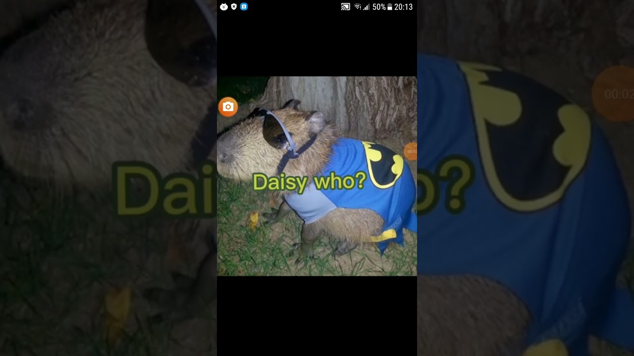 capybara phone call