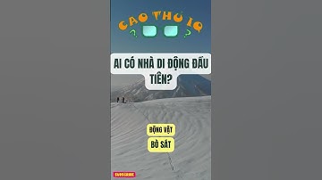 Câu Đố Vui Nhộn: Thử Thách Tư Duy Logic Của Bạn p90 | Cao Thủ IQ #funny #dovui #giaitri #haihuoc
