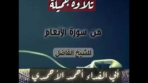 تلاوة جميلة من سورة الأنعام/ للأخ أحمد الأحمدي