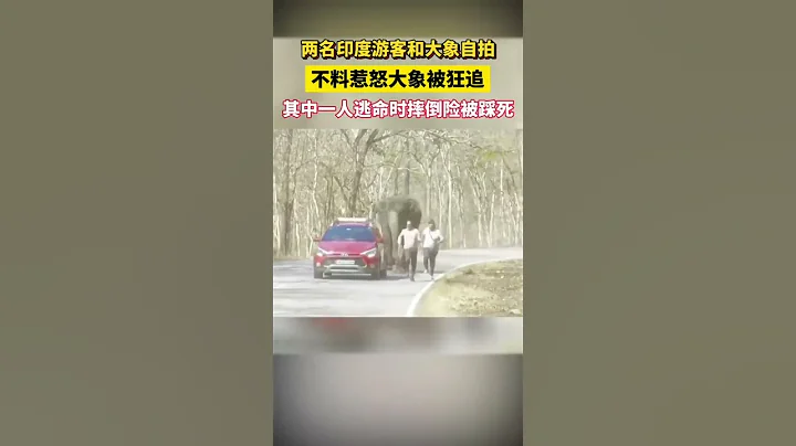 兩名印度遊客和大象自拍，不料惹怒大像被狂追，其中一人逃命時摔倒險被踩死。 #社會百態 #記錄生活 - 天天要聞