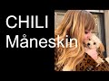 Chili De Angelis | Måneskin | Victoria's dog | The best moments