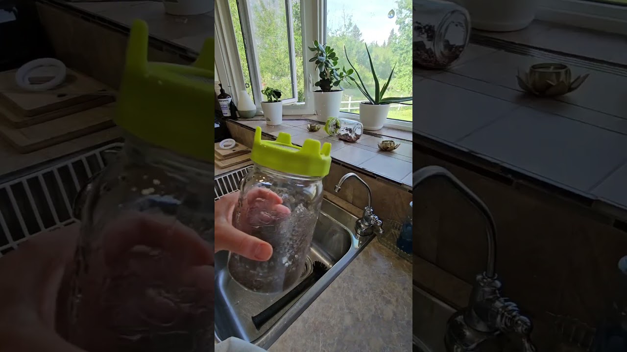 Mason Jar Sprouting lids