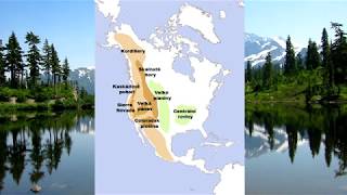 Vov E4383 Reliéf Severní Ameriky