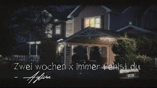 AYLIVA - zwei wochen x immer fehlst du (edit Musikvideo)