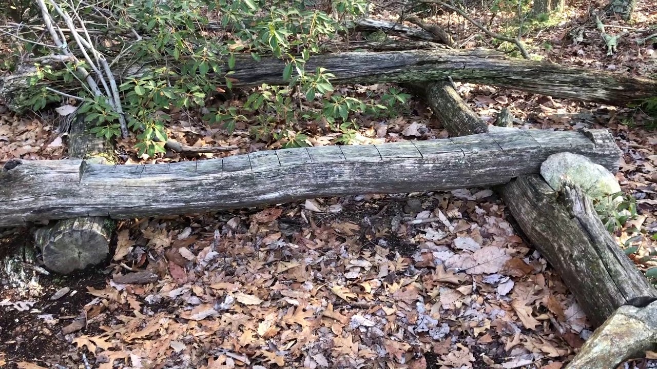 Saugatuck Aspetuck Extension Trail