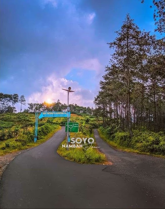 semilir angin dalu ngelingke esem guyumu•• story 30 detik