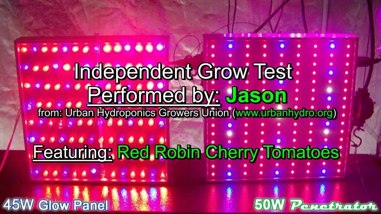 50W Penetrator vs 45W Glow Panel LED Grow Light Test - YouTube