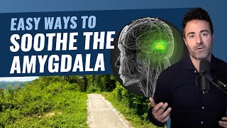 How to Calm the Amygdala in 3 Simple Ways