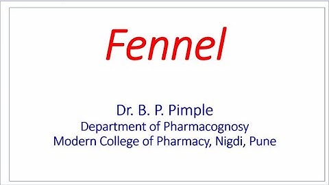 Morphology & Microscopy of Fennel: Dr Bhushan Pimple
