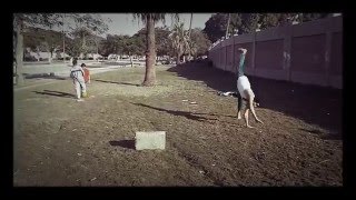Tricking And Free Running ROUND OFF BACK FLIP 180