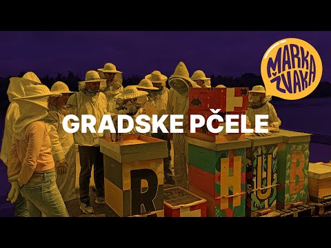 Gradske pčele